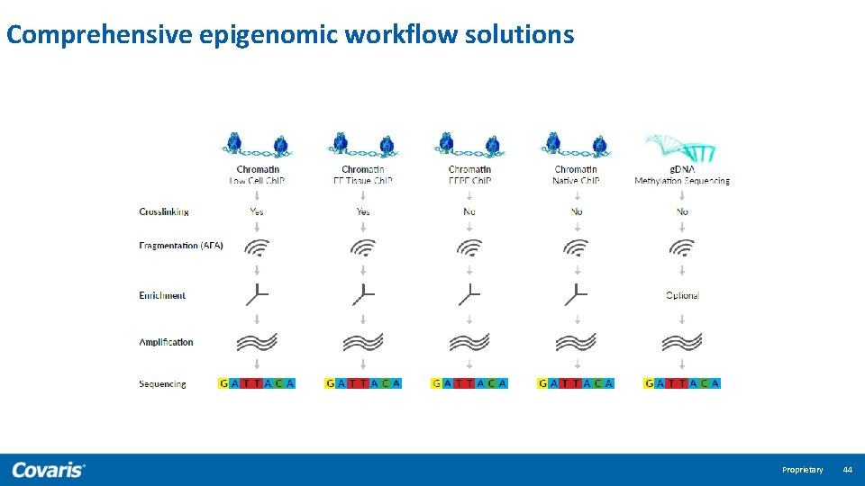 Comprehensive epigenomic workflow solutions Proprietary 44 
