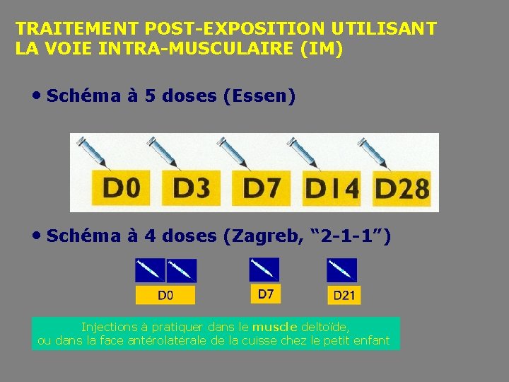 TRAITEMENT POST-EXPOSITION UTILISANT LA VOIE INTRA-MUSCULAIRE (IM) • Schéma à 5 doses (Essen) •