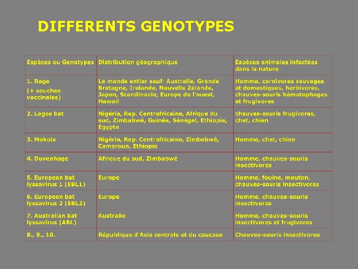 DIFFERENTS GENOTYPES 