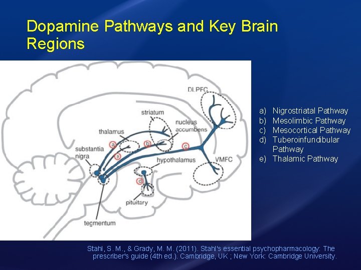 Dopamine Pathways and Key Brain Regions a) b) c) d) Nigrostriatal Pathway Mesolimbic Pathway