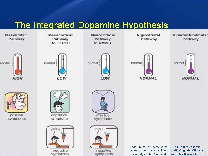 The Integrated Dopamine Hypothesis Stahl, S. M. , & Grady, M. M. (2011). Stahl's