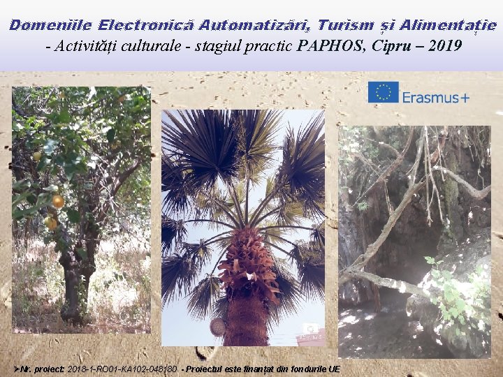 Domeniile Electronică Automatizări, Turism și Alimentație - Activități culturale - stagiul practic PAPHOS, Cipru