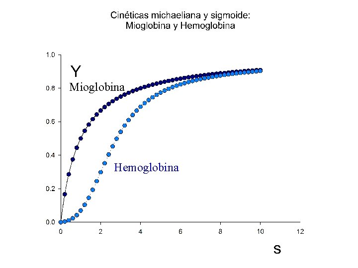 Mioglobina Hemoglobina 