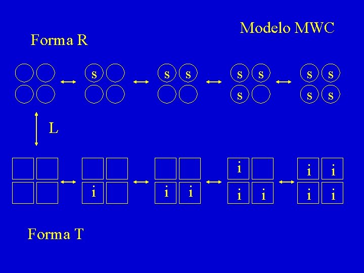 Modelo MWC Forma R s s s s s i i i L i