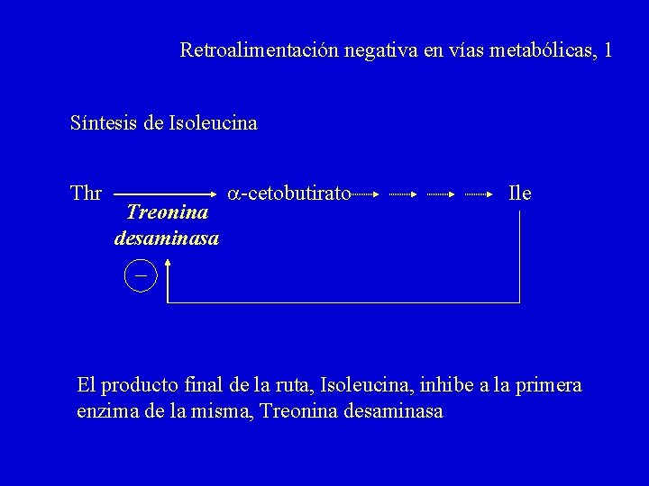 Retroalimentación negativa en vías metabólicas, 1 Síntesis de Isoleucina Thr Treonina desaminasa a-cetobutirato Ile