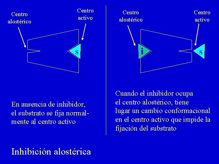 Centro alostérico Centro activo s En ausencia de inhibidor, el substrato se fija normalmente