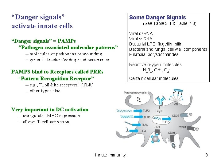 “Danger signals” activate innate cells Some Danger Signals (See Table 3 -1 & Table