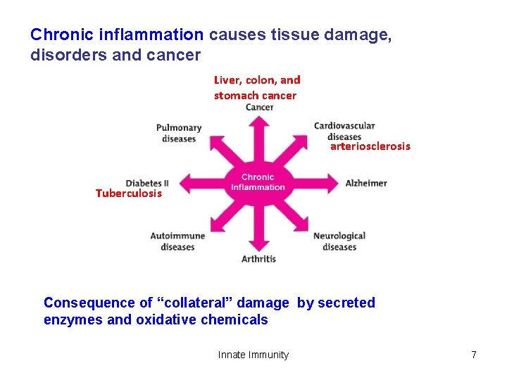 Chronic inflammation causes tissue damage, disorders and cancer Liver, colon, and stomach cancer arteriosclerosis