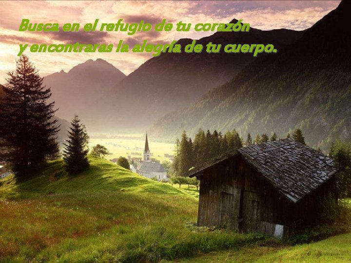 Busca en el refugio de tu corazón y encontraras la alegría de tu cuerpo.