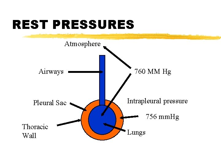 REST PRESSURES Atmosphere Airways Pleural Sac 760 MM Hg Intrapleural pressure 756 mm. Hg