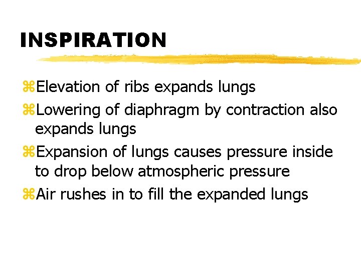 INSPIRATION z. Elevation of ribs expands lungs z. Lowering of diaphragm by contraction also