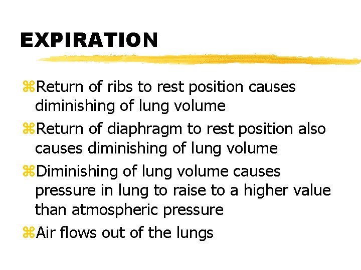 EXPIRATION z. Return of ribs to rest position causes diminishing of lung volume z.