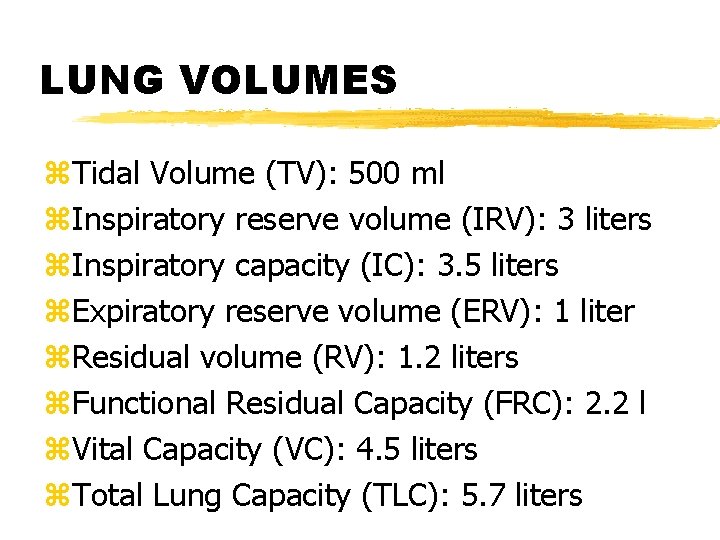 LUNG VOLUMES z. Tidal Volume (TV): 500 ml z. Inspiratory reserve volume (IRV): 3