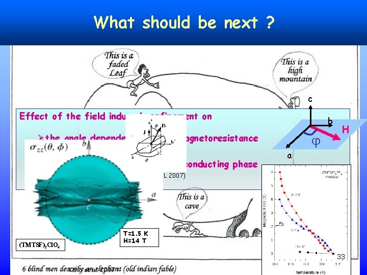 What should be next ? c Effect of the field induced confinement on b