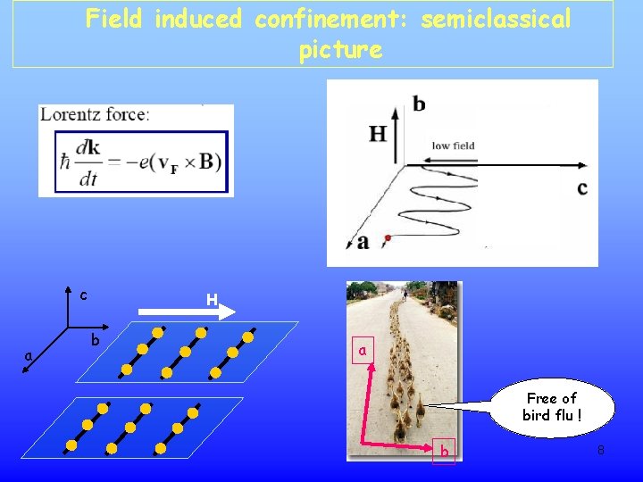 Field induced confinement: semiclassical picture c a H b a Free of bird flu