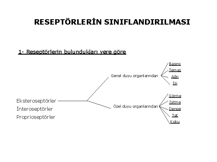 RESEPTÖRLERİN SINIFLANDIRILMASI 1 - Reseptörlerin bulundukları yere göre Basınç Temas Genel duyu organlarından Ağrı