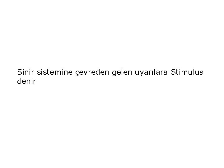 Sinir sistemine çevreden gelen uyarılara Stimulus denir 