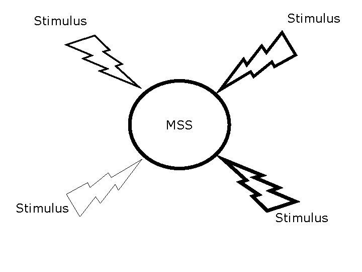 Stimulus MSS Stimulus 