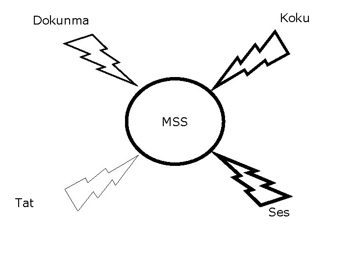 Koku Dokunma MSS Tat Ses 