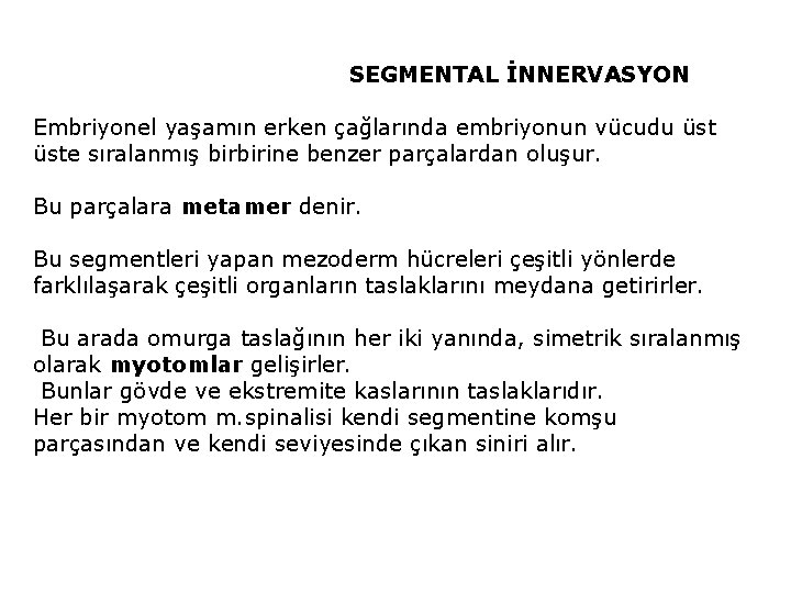 SEGMENTAL İNNERVASYON Embriyonel yaşamın erken çağlarında embriyonun vücudu üste sıralanmış birbirine benzer parçalardan oluşur.