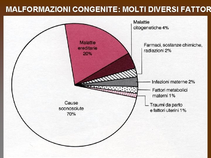 MALFORMAZIONI CONGENITE: MOLTI DIVERSI FATTOR 