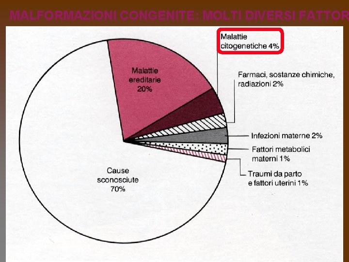 MALFORMAZIONI CONGENITE: MOLTI DIVERSI FATTOR 