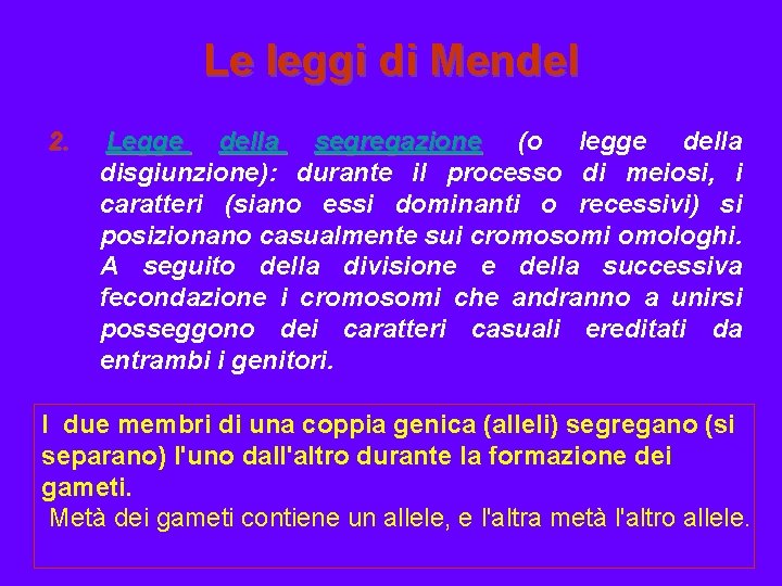 Le leggi di Mendel 2. Legge della segregazione (o legge della disgiunzione): durante il