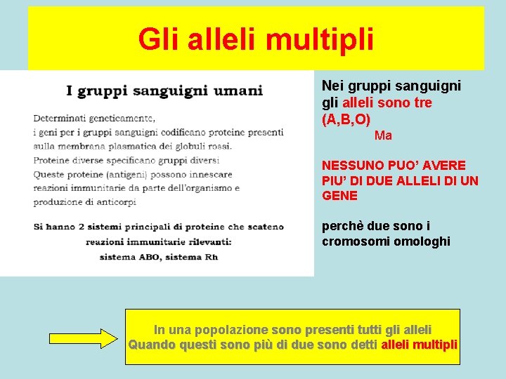 Gli alleli multipli Nei gruppi sanguigni gli alleli sono tre (A, B, O) Ma