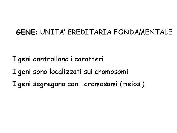 GENE: UNITA’ EREDITARIA FONDAMENTALE I geni controllano i caratteri I geni sono localizzati sui