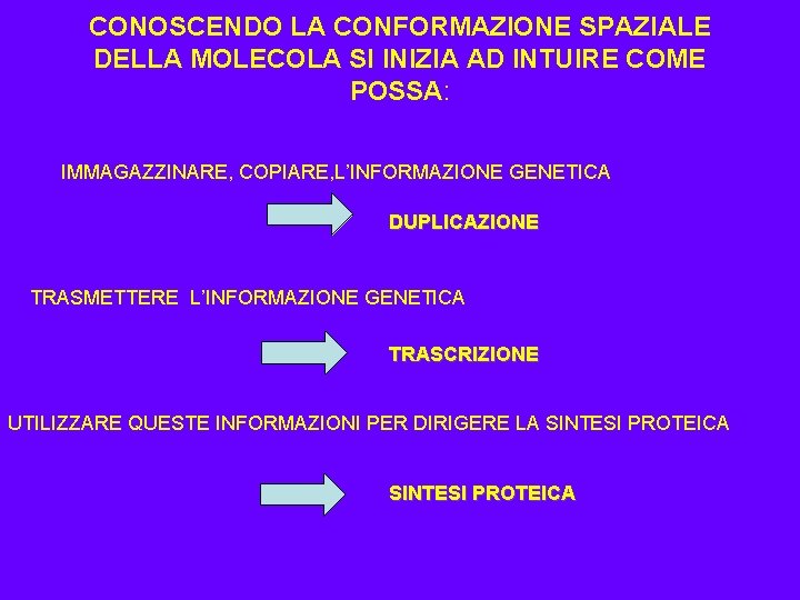 CONOSCENDO LA CONFORMAZIONE SPAZIALE DELLA MOLECOLA SI INIZIA AD INTUIRE COME POSSA: IMMAGAZZINARE, COPIARE,