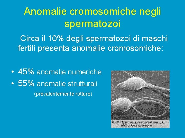 Anomalie cromosomiche negli spermatozoi Circa il 10% degli spermatozoi di maschi fertili presenta anomalie
