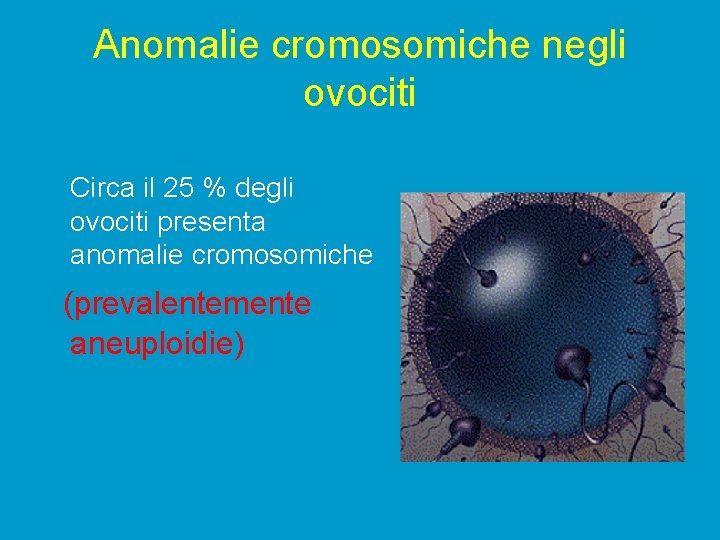 Anomalie cromosomiche negli ovociti Circa il 25 % degli ovociti presenta anomalie cromosomiche (prevalentemente