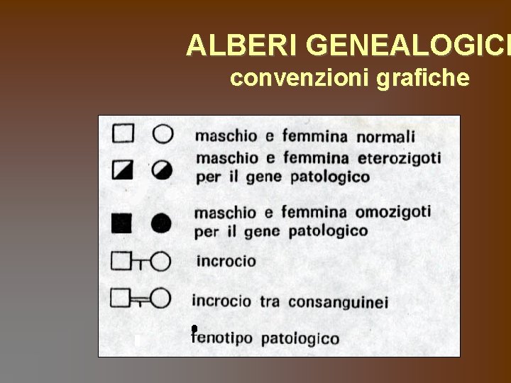 ALBERI GENEALOGICI convenzioni grafiche 