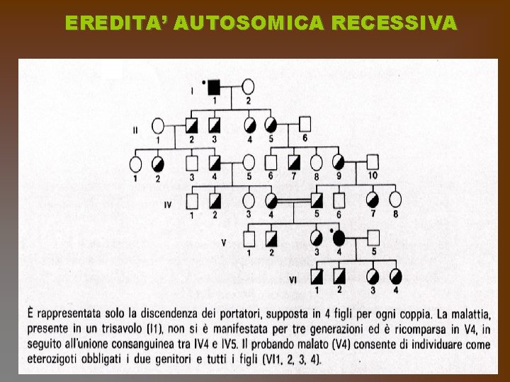 EREDITA’ AUTOSOMICA RECESSIVA 