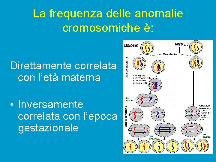 La frequenza delle anomalie cromosomiche è: Direttamente correlata con l’età materna • Inversamente correlata