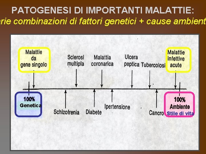 PATOGENESI DI IMPORTANTI MALATTIE: arie combinazioni di fattori genetici + cause ambienta ambient Genetica