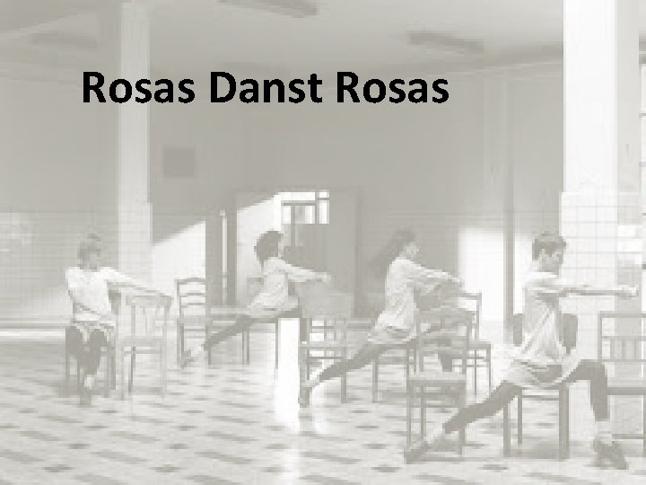Rosas Danst Rosas 