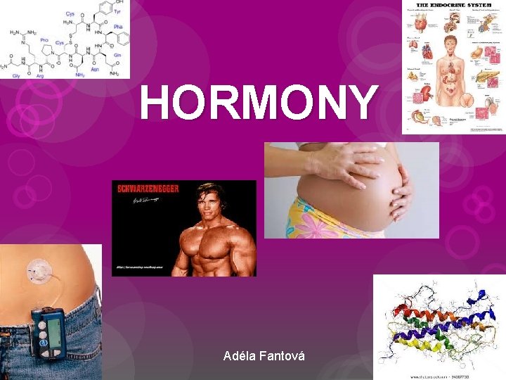 HORMONY Adéla Fantová 