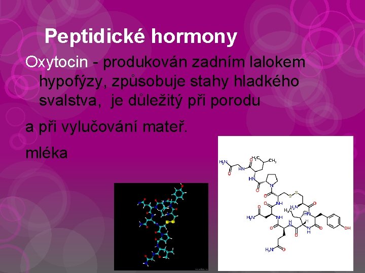 Peptidické hormony Oxytocin - produkován zadním lalokem hypofýzy, způsobuje stahy hladkého svalstva, je důležitý
