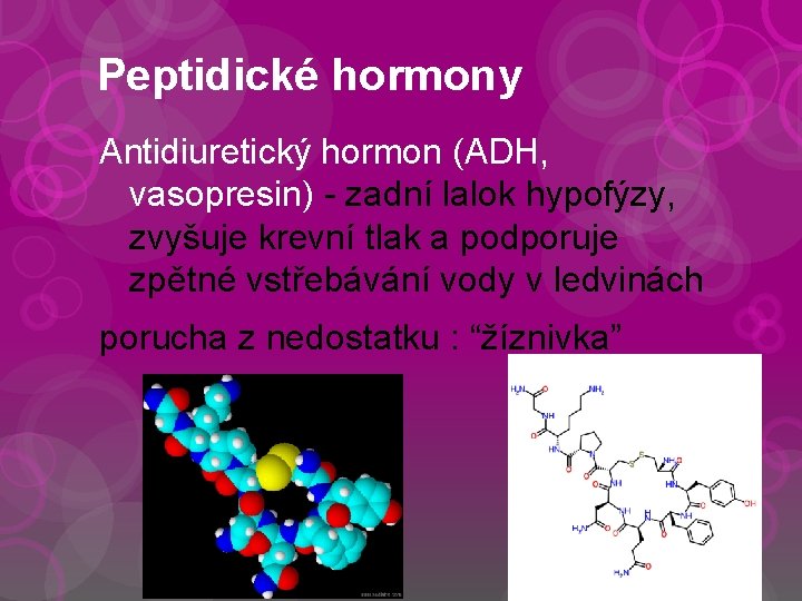 Peptidické hormony Antidiuretický hormon (ADH, vasopresin) - zadní lalok hypofýzy, zvyšuje krevní tlak a