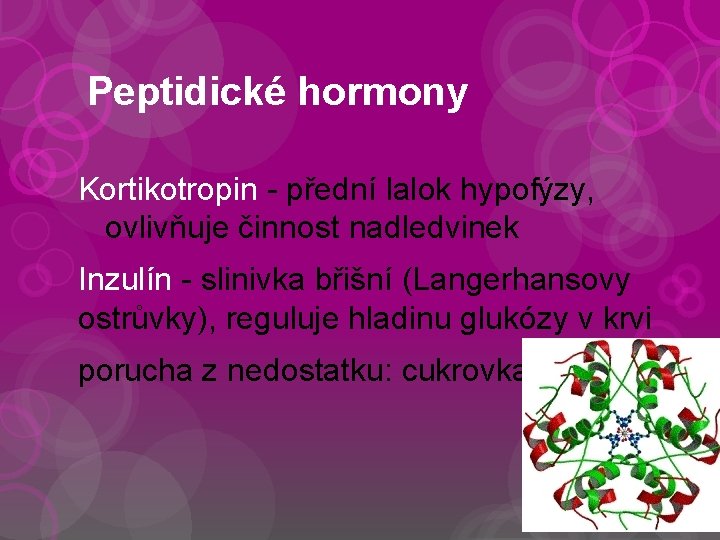 Peptidické hormony Kortikotropin - přední lalok hypofýzy, ovlivňuje činnost nadledvinek Inzulín - slinivka břišní