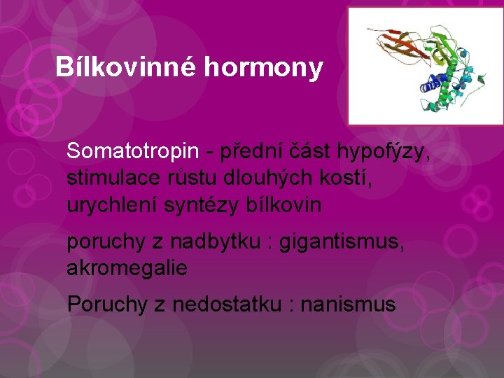 Bílkovinné hormony Somatotropin - přední část hypofýzy, stimulace růstu dlouhých kostí, urychlení syntézy bílkovin