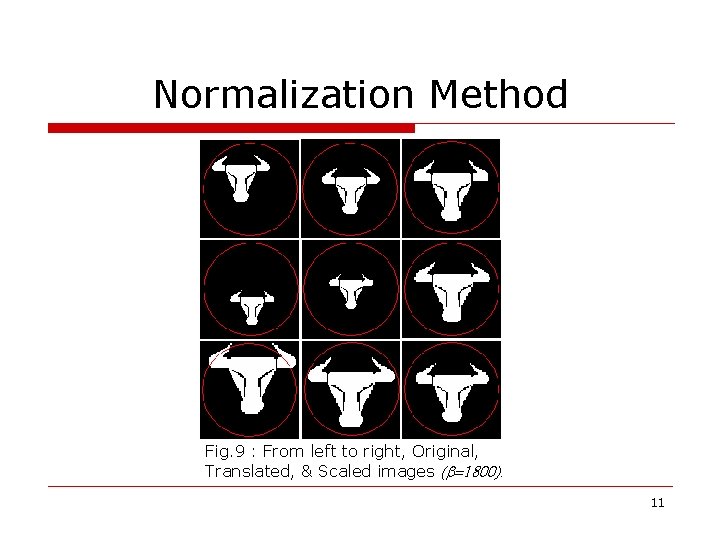 Normalization Method Fig. 9 : From left to right, Original, Translated, & Scaled images