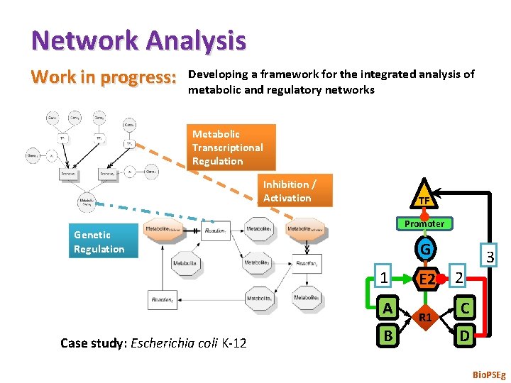 Network Analysis Work in progress: Developing a framework for the integrated analysis of metabolic