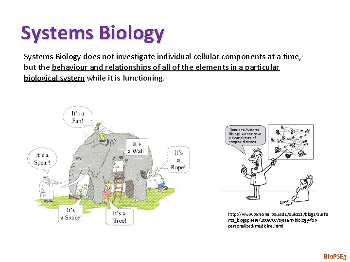 Systems Biology does not investigate individual cellular components at a time, but the behaviour