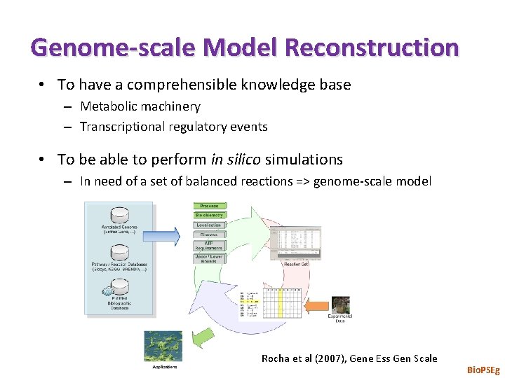 Genome-scale Model Reconstruction • To have a comprehensible knowledge base – Metabolic machinery –