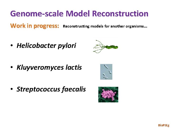 Genome-scale Model Reconstruction Work in progress: Reconstructing models for another organisms. . . •