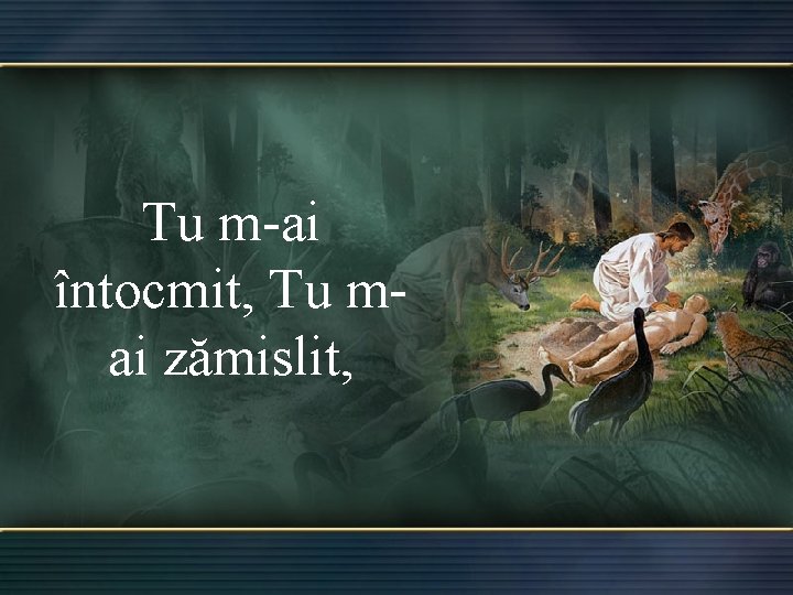 Tu m-ai întocmit, Tu mai zămislit, 