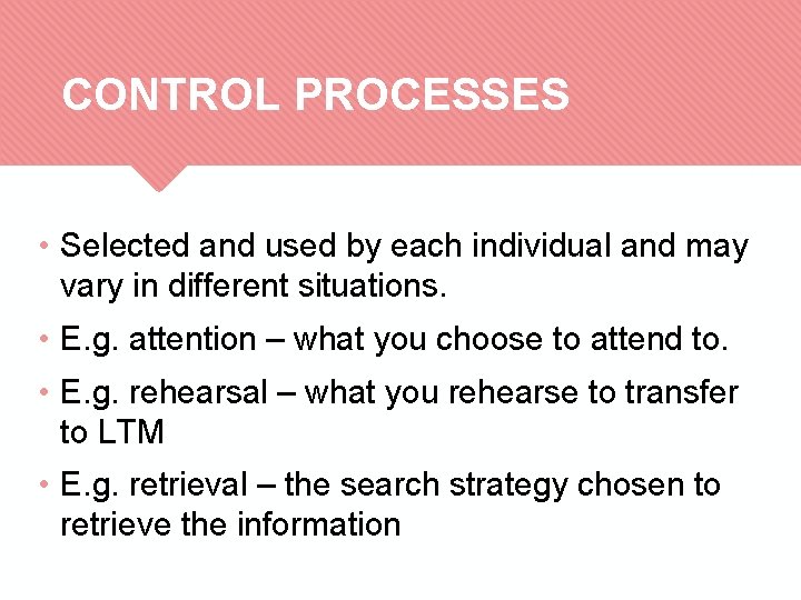 CONTROL PROCESSES • Selected and used by each individual and may vary in different