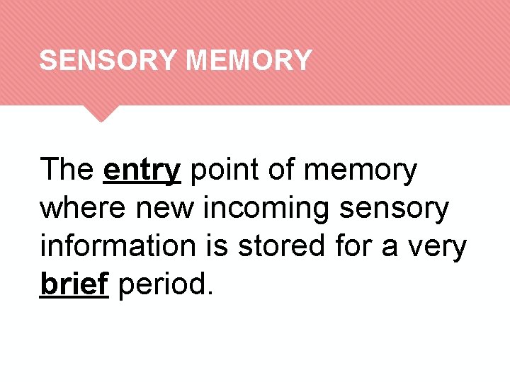 SENSORY MEMORY The entry point of memory where new incoming sensory information is stored